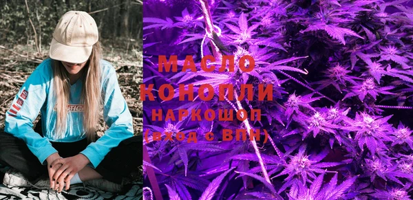 гашик Михайловка