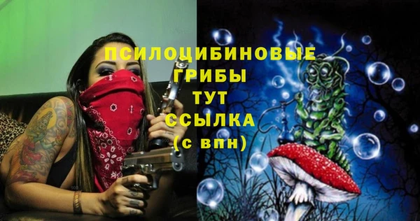 PSILOCYBIN Абаза
