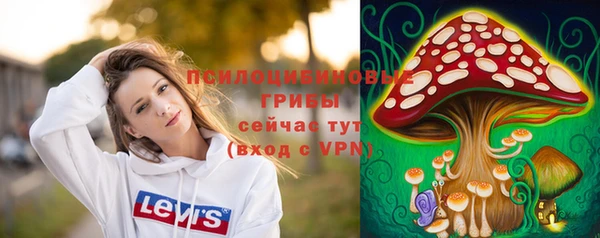 PSILOCYBIN Абаза