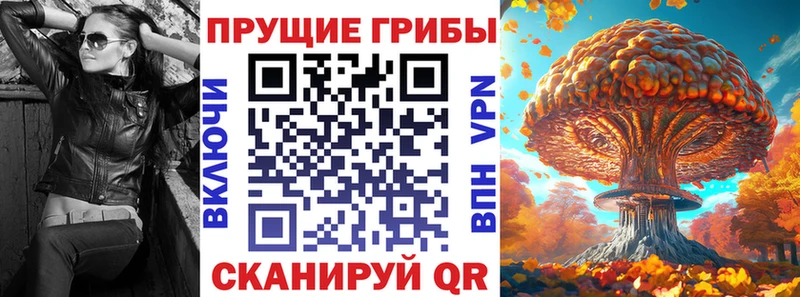 KRAKEN как войти  Монино  Псилоцибиновые грибы Psilocybine cubensis  купить закладку 